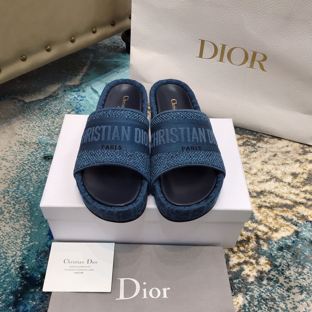 Dior shoes22