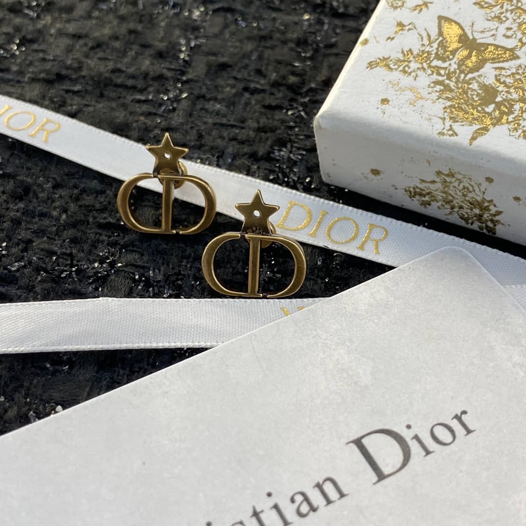 Fake Dior Logo Earrings