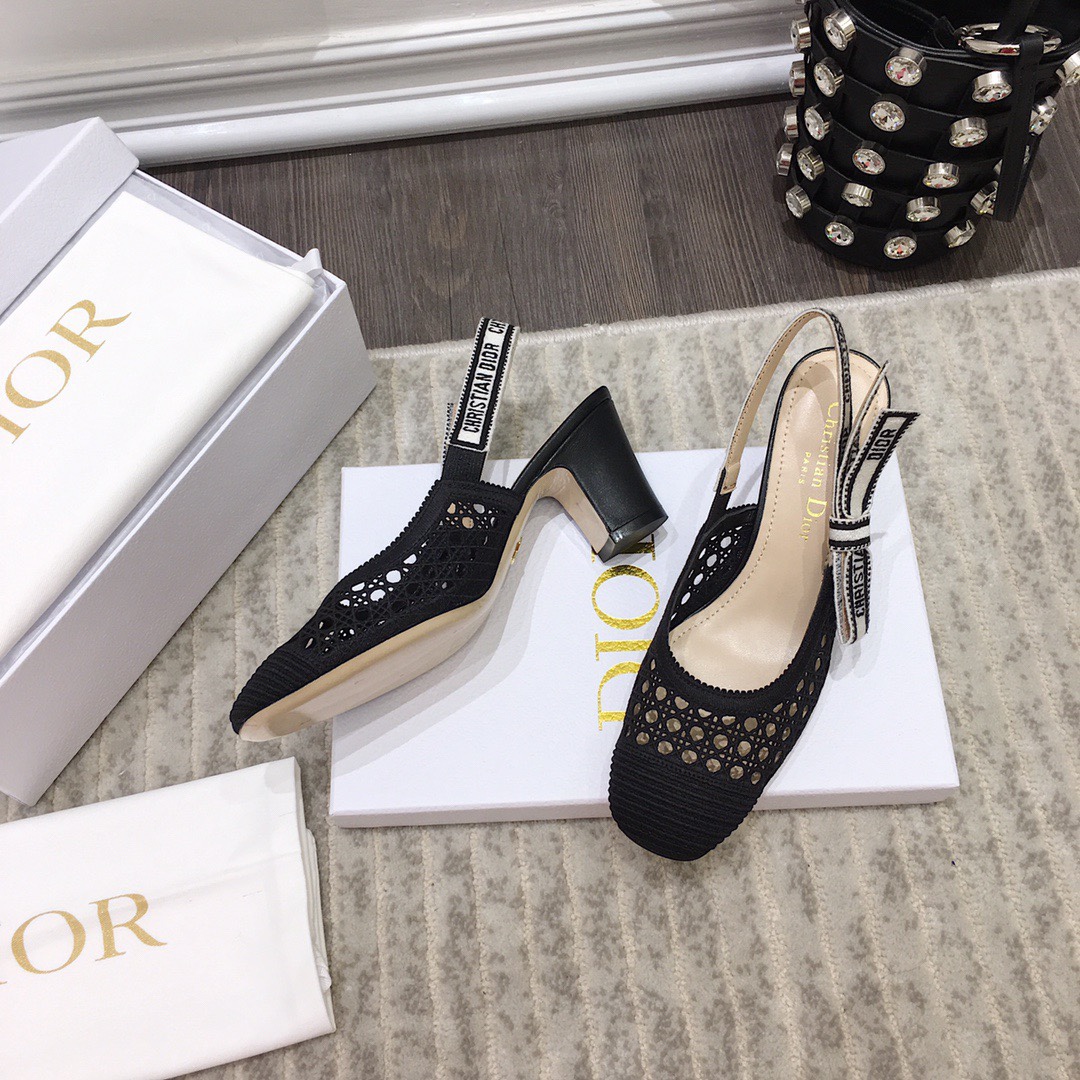 Dior shoes198