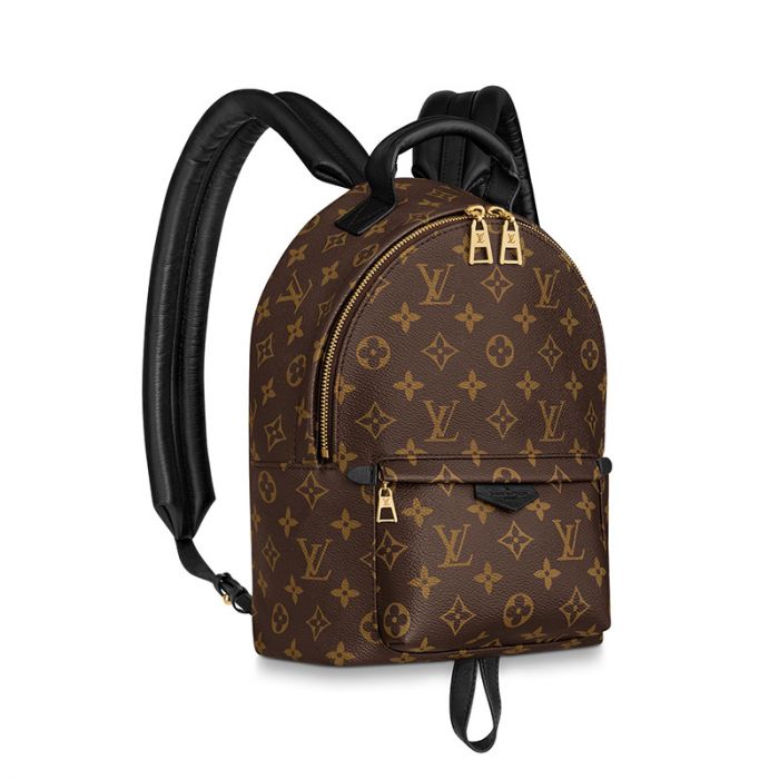 Louis Vuitton Palm Springs PM M44871