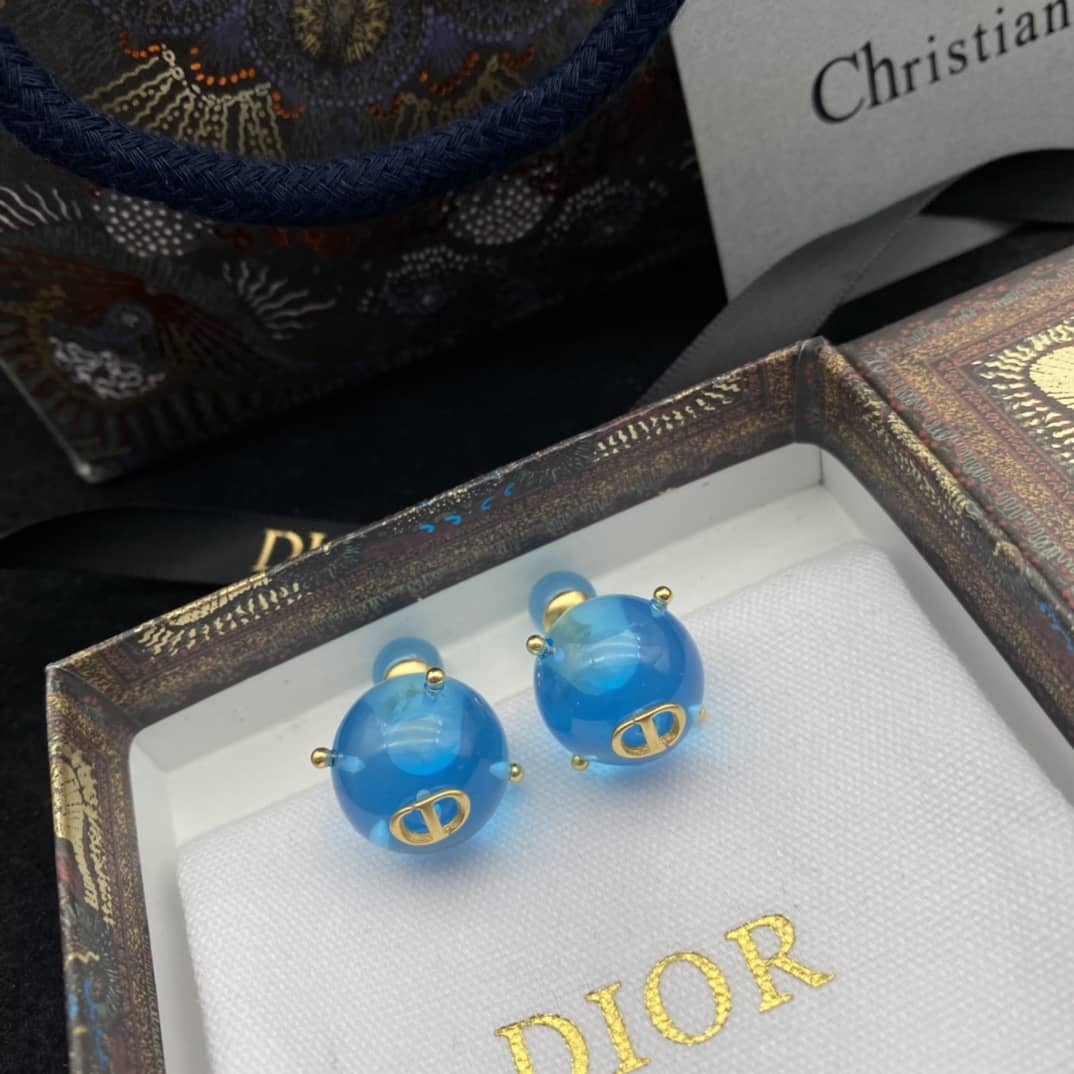 Fake Dior Logo Earrings