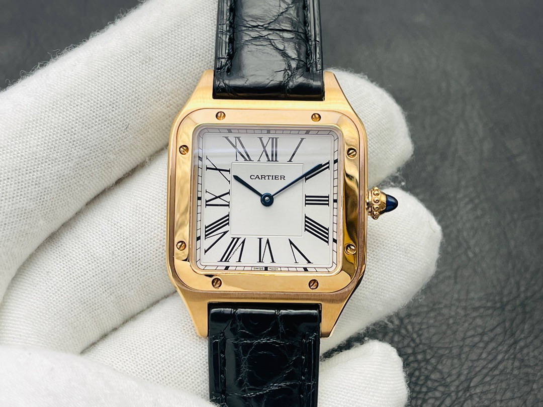 Cartier Santos series WGSA0022 (small) watch