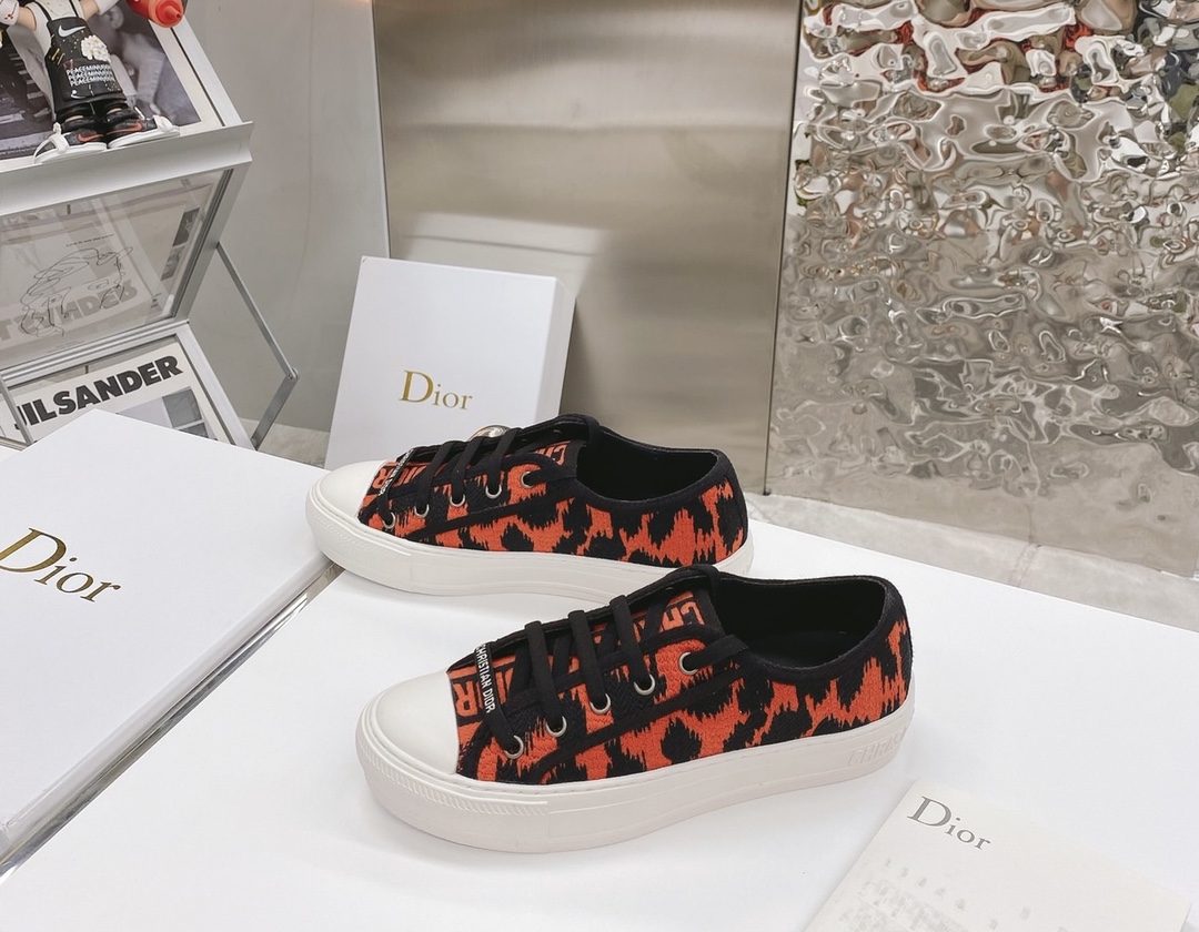 Dior shoes279