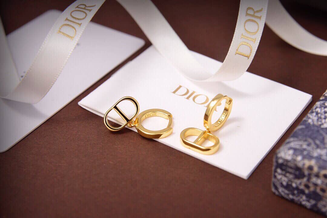 Luxury Dior Classic AAA+ Earrings