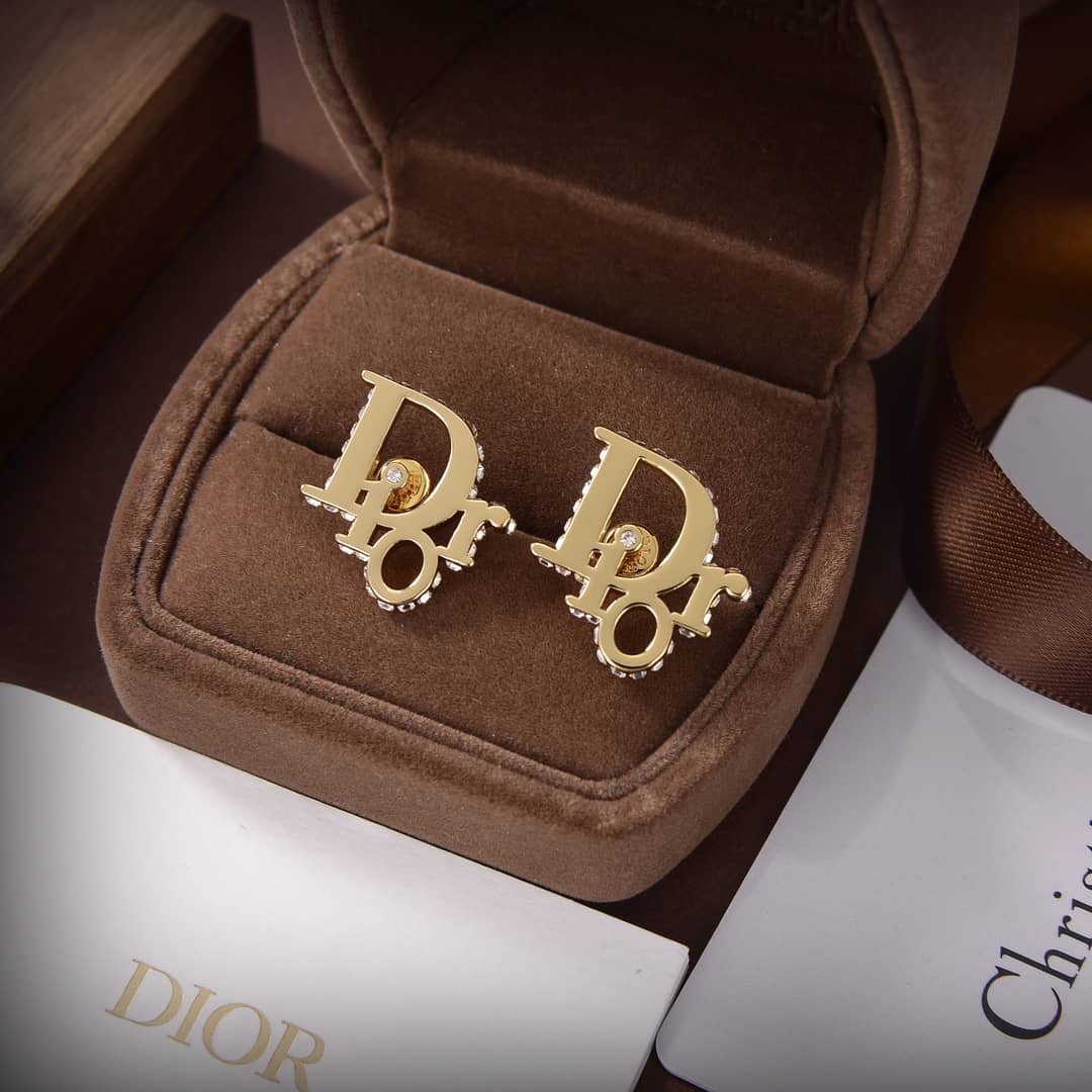 Fake Dior Logo Earrings