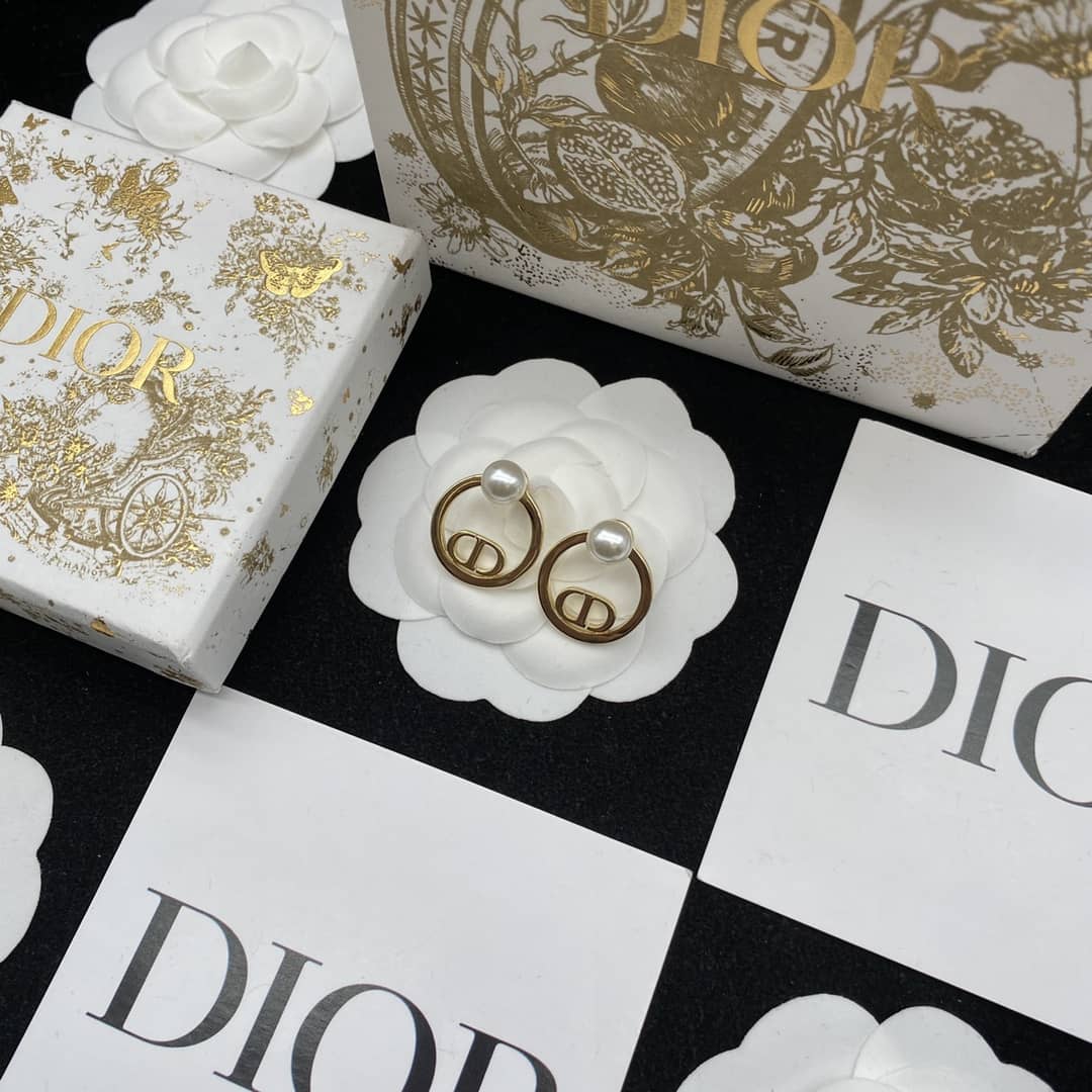 Best Dior Classic Earrings