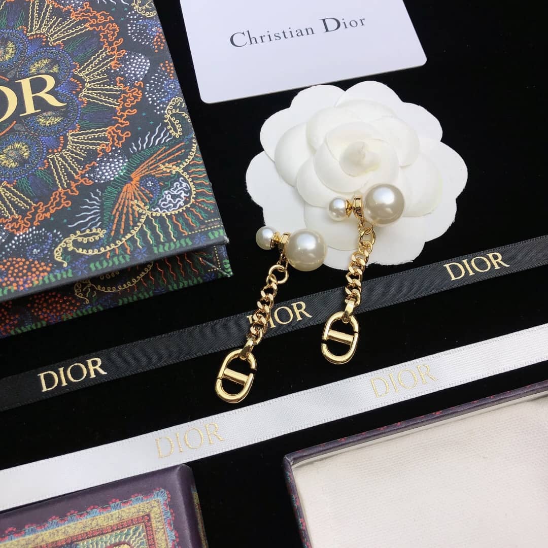 Dior Earrings Copy