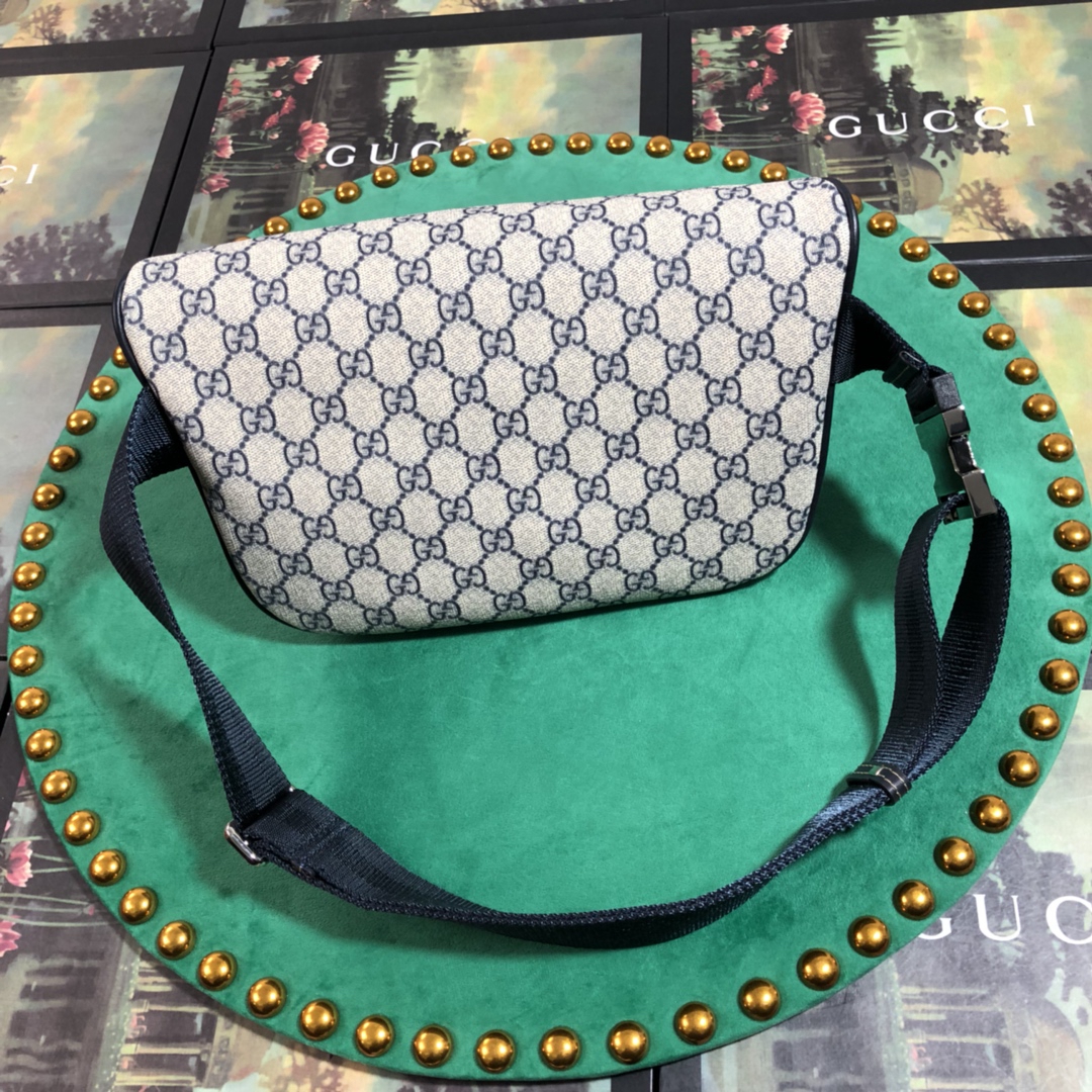 Gucci belt bag 233269