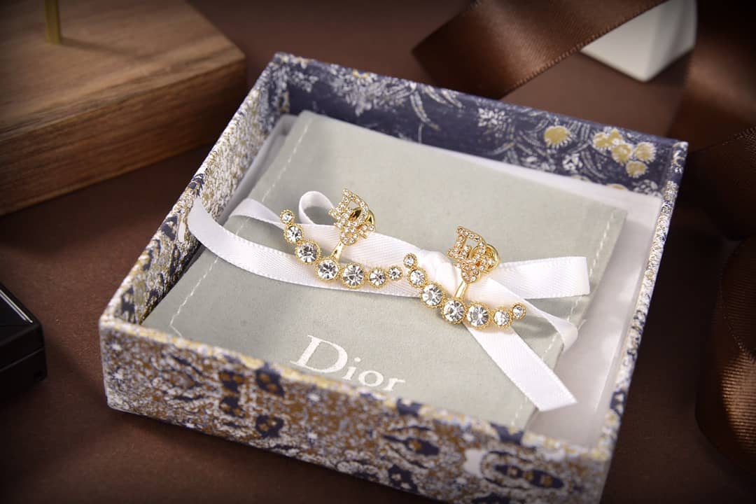 Dior Earrings First Copy