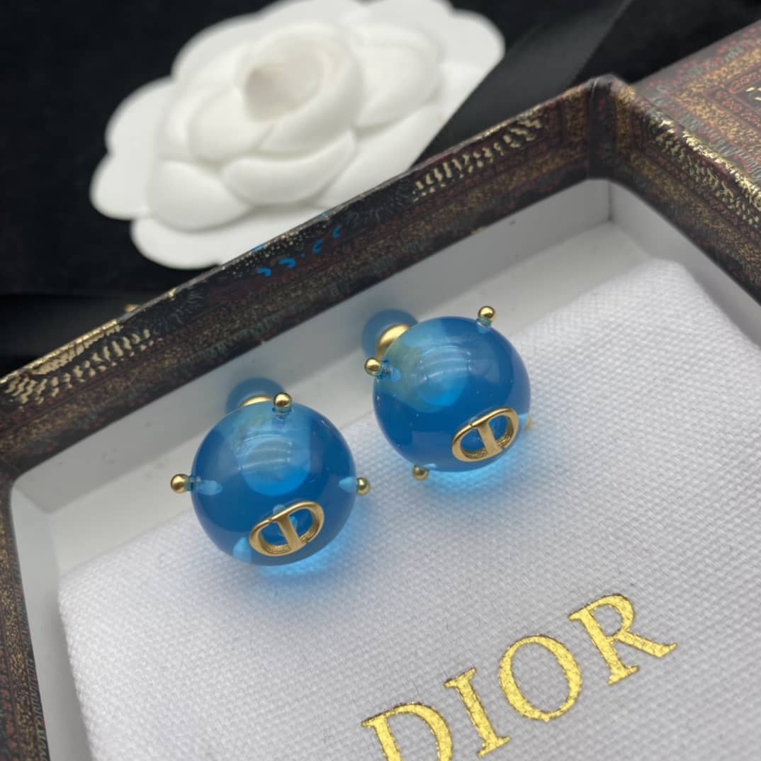 Fake Dior Logo Earrings