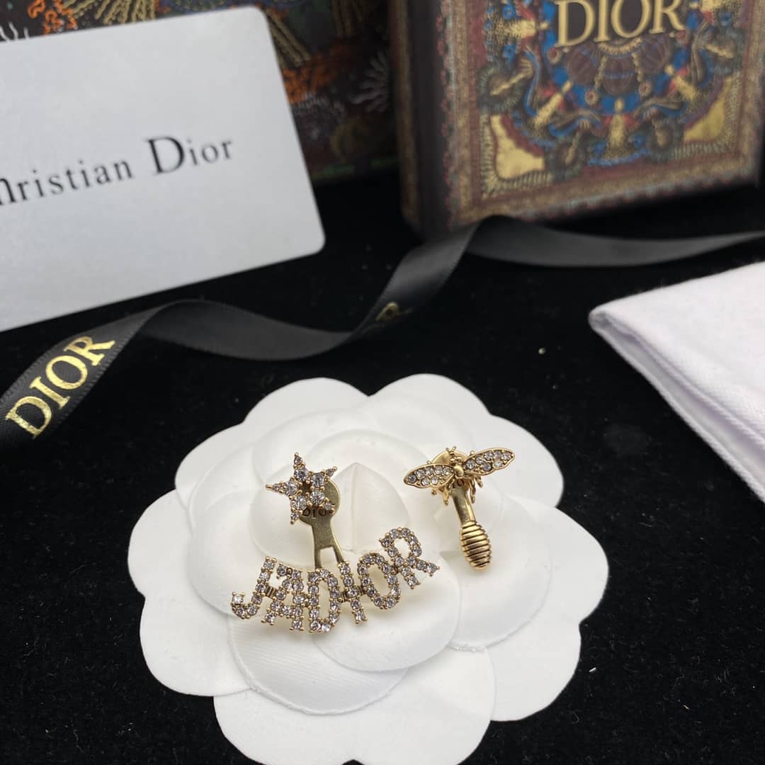 Dior Designer Earrings Copy