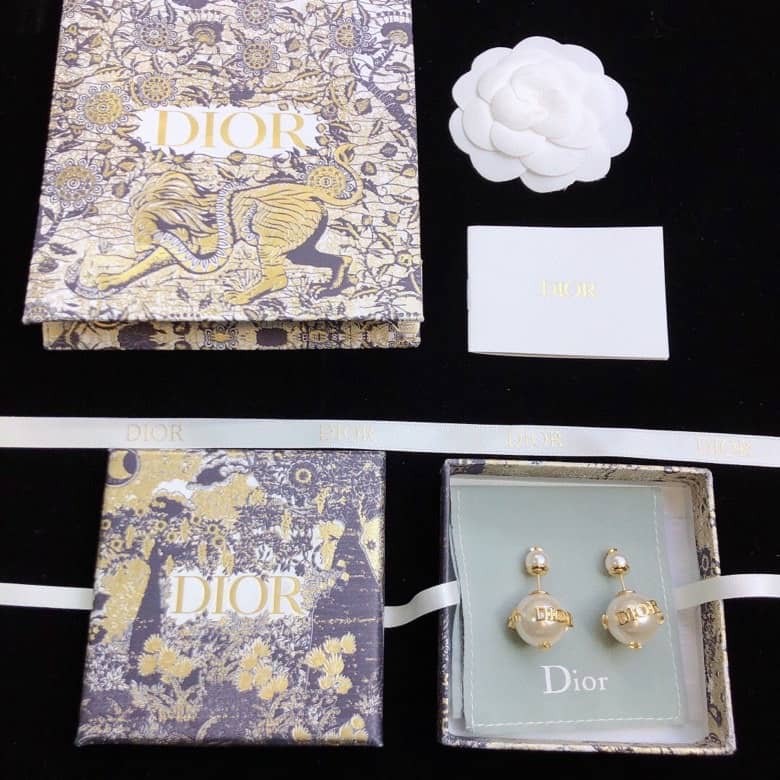 Wholesale Dior Logo Earrings