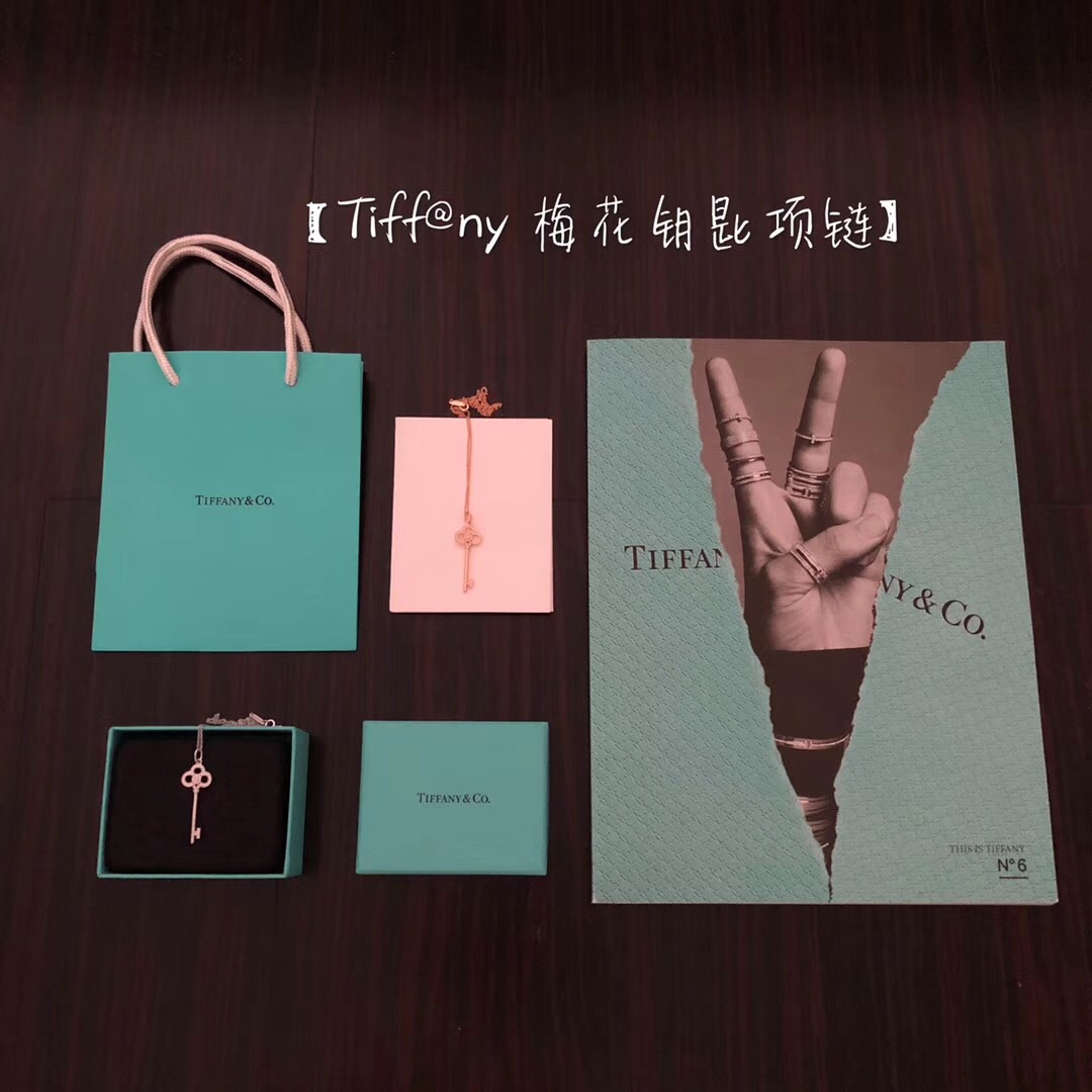 Tiffany Torx Key Necklace