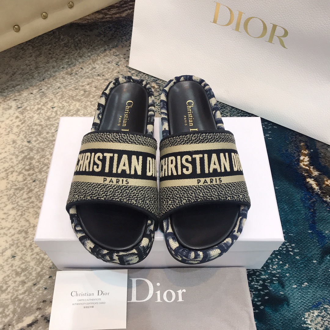 Dior shoes24