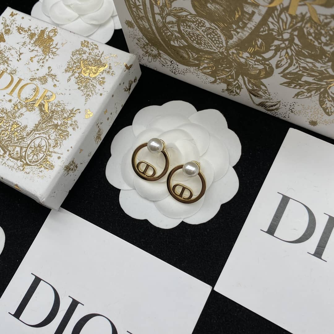 Best Dior Classic Earrings
