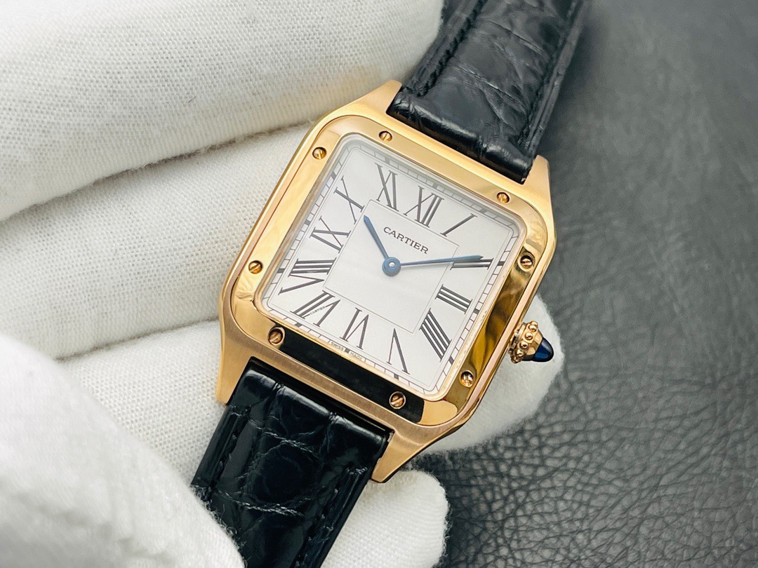Cartier Santos series WGSA0022 (small) watch