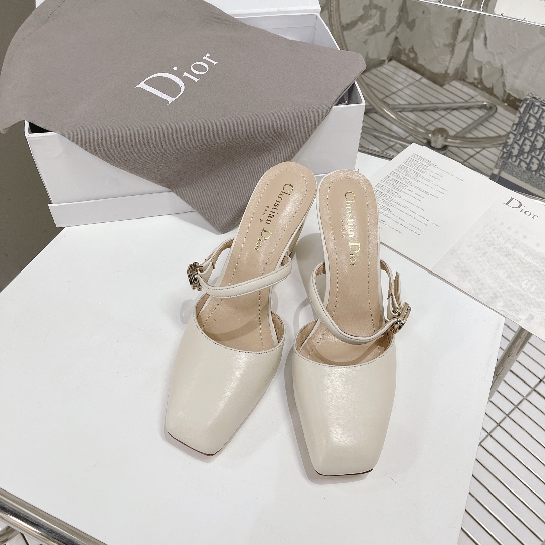 Dior shoes15