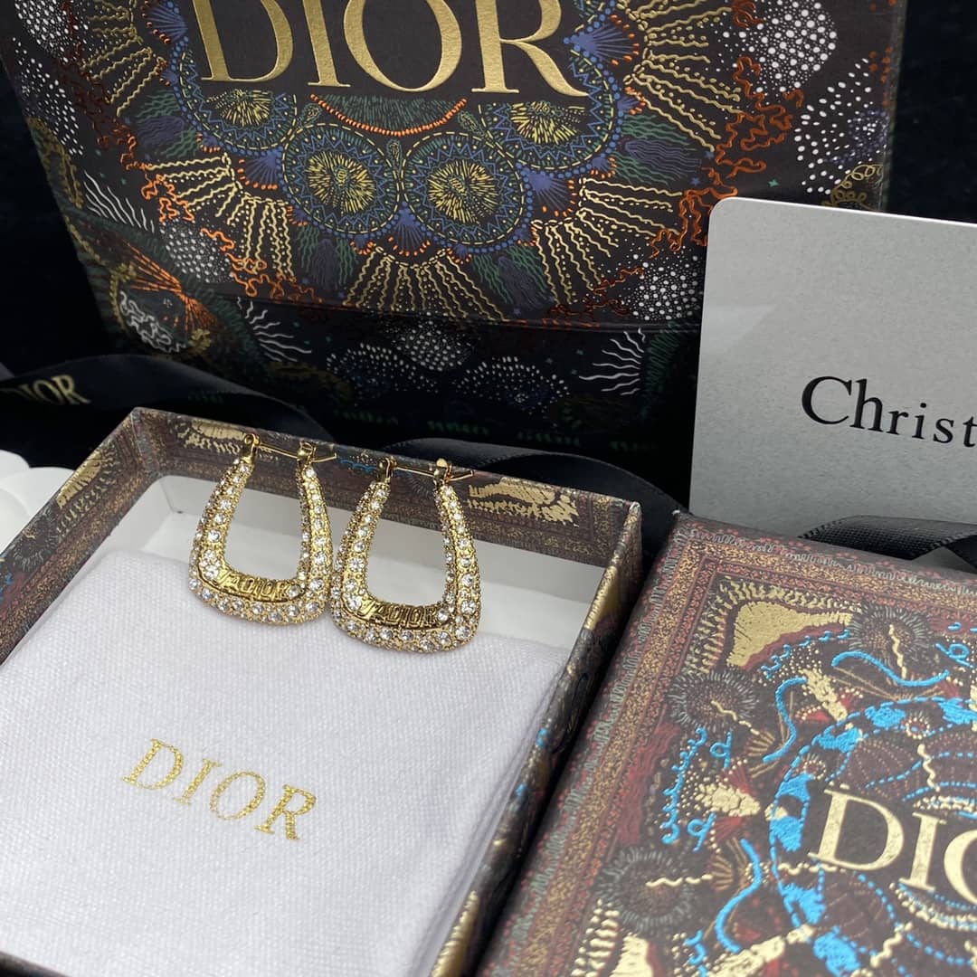 Dior Earrings First Copy