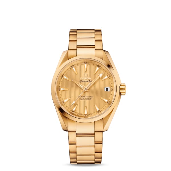 Omega Seamaster Ref. # 231.50.39.21.08.001