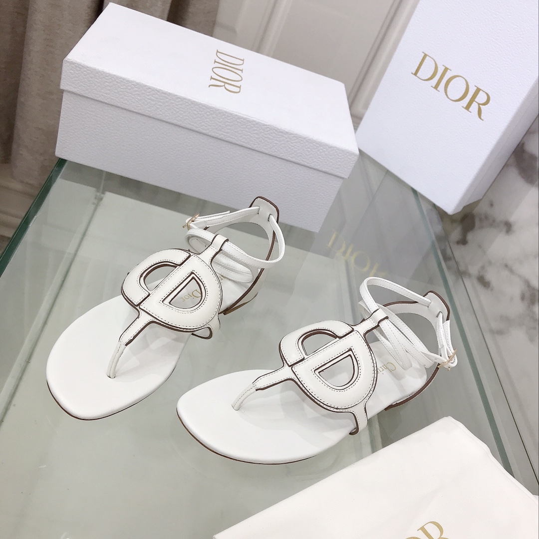 Dior shoes30