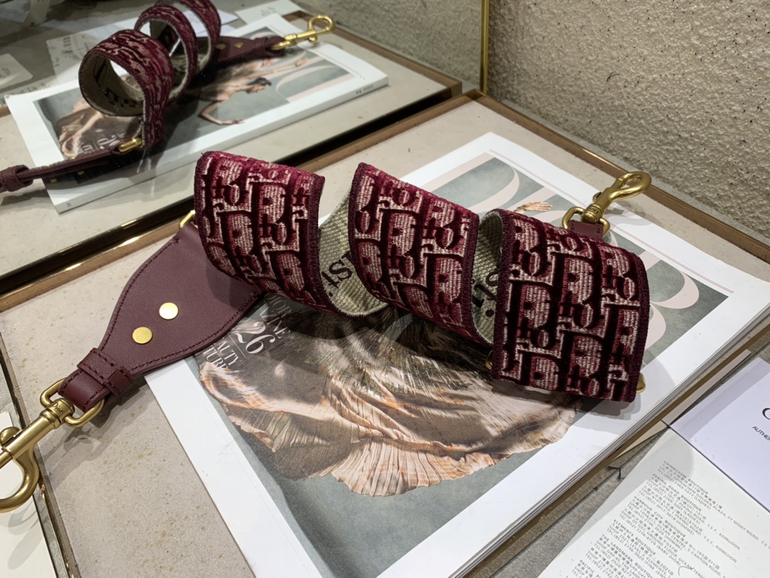 Dior shoulder strap 16