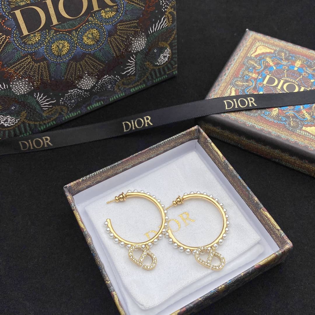 Fake Dior Logo Earrings