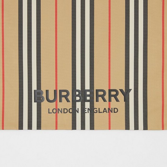 Bur-ISECONYLPPT-5039150