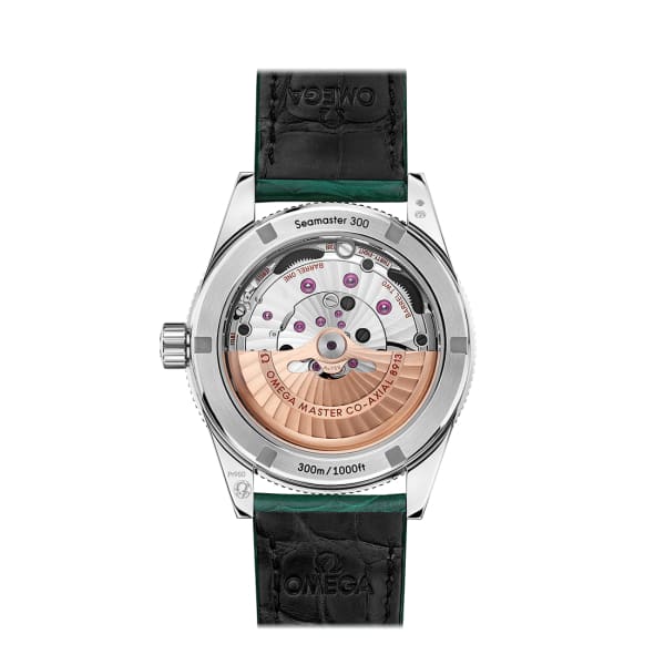 Omega Seamaster Ref. # 234.93.41.21.99.001