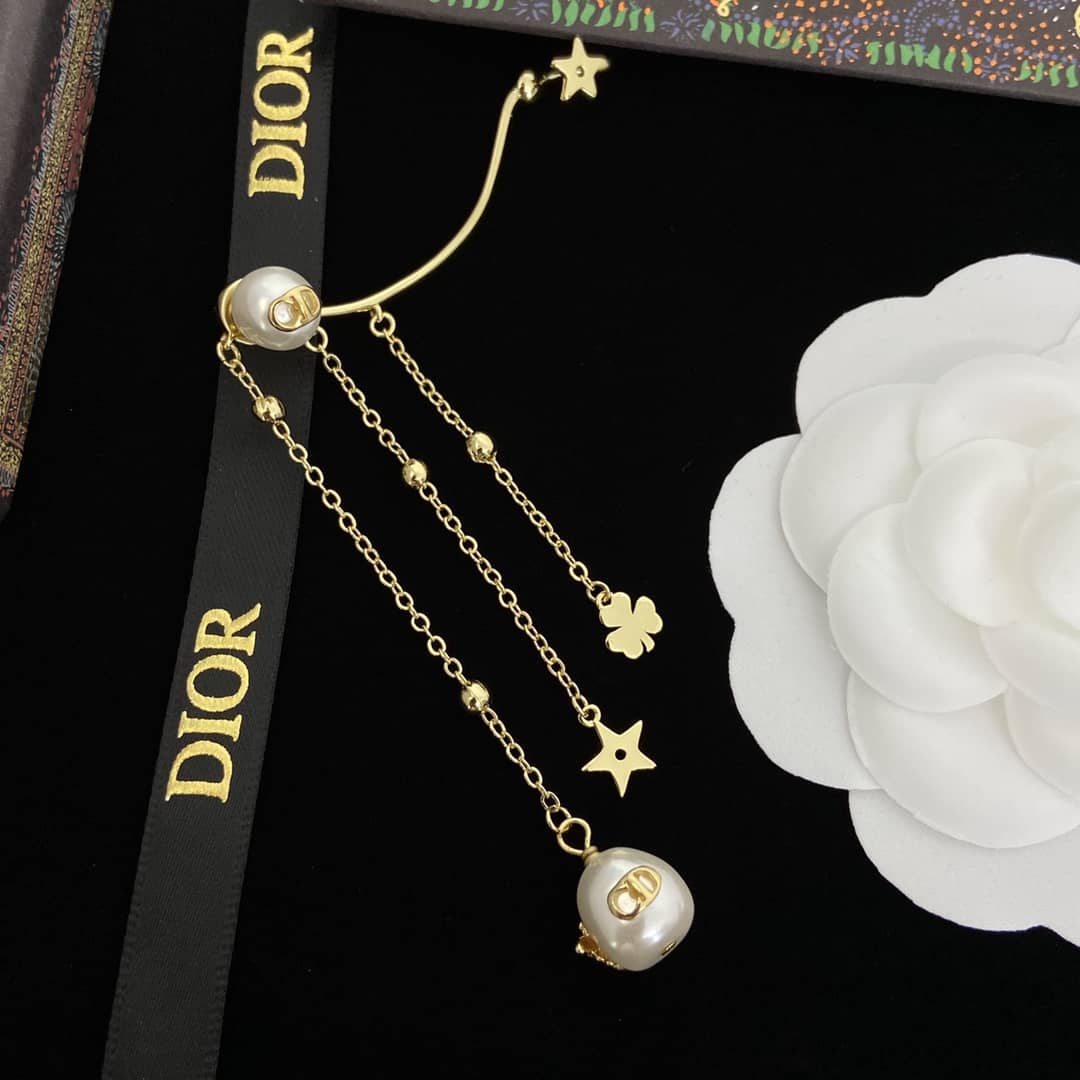Dior Earrings Copy