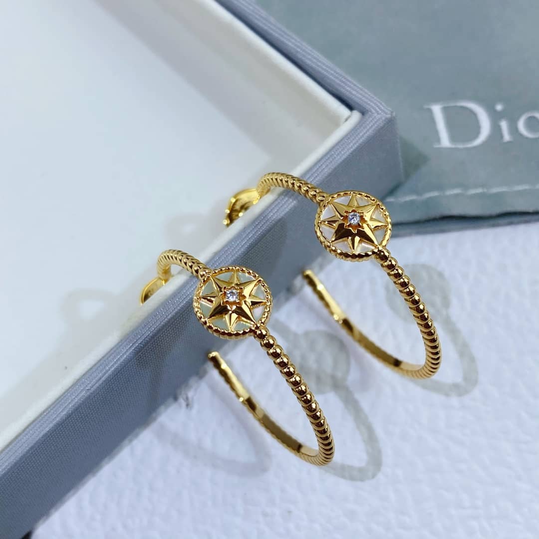 Dior Earrings Copy