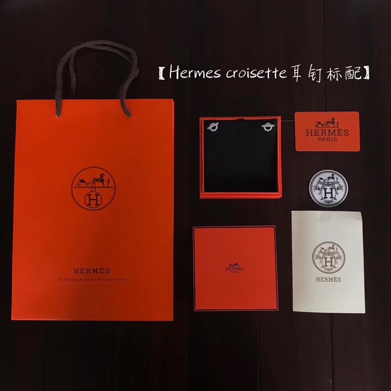 Hermès croisette earrings