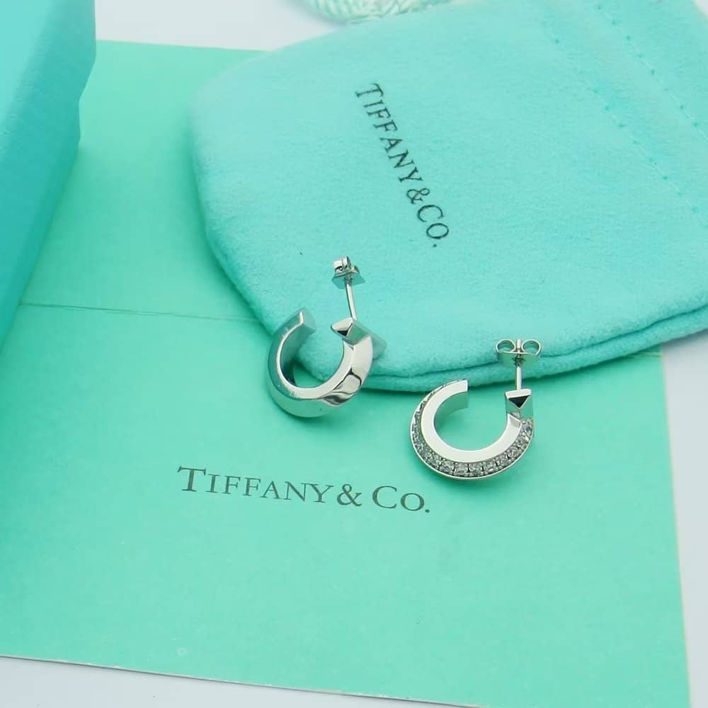 Tiffany Cheap Luxury Earrings