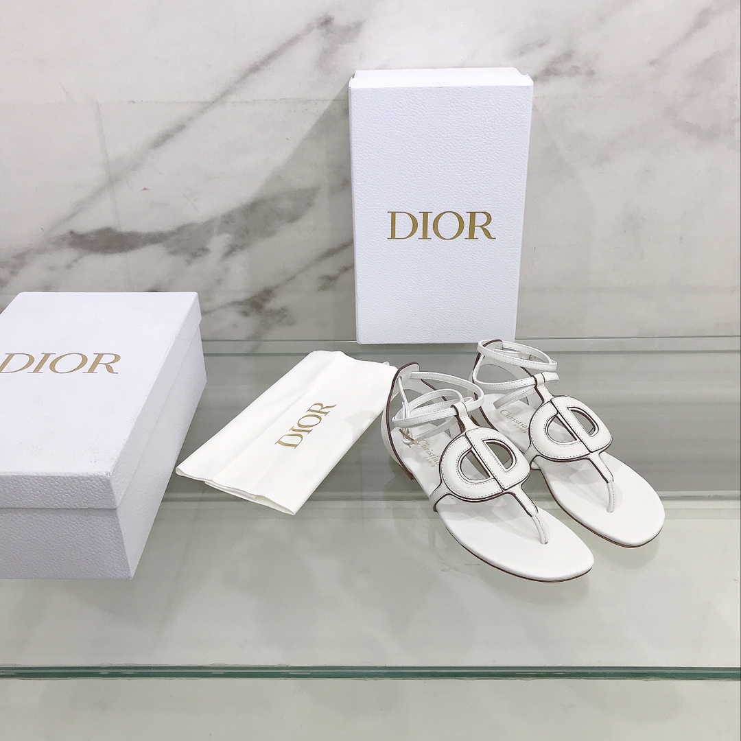 Dior shoes30