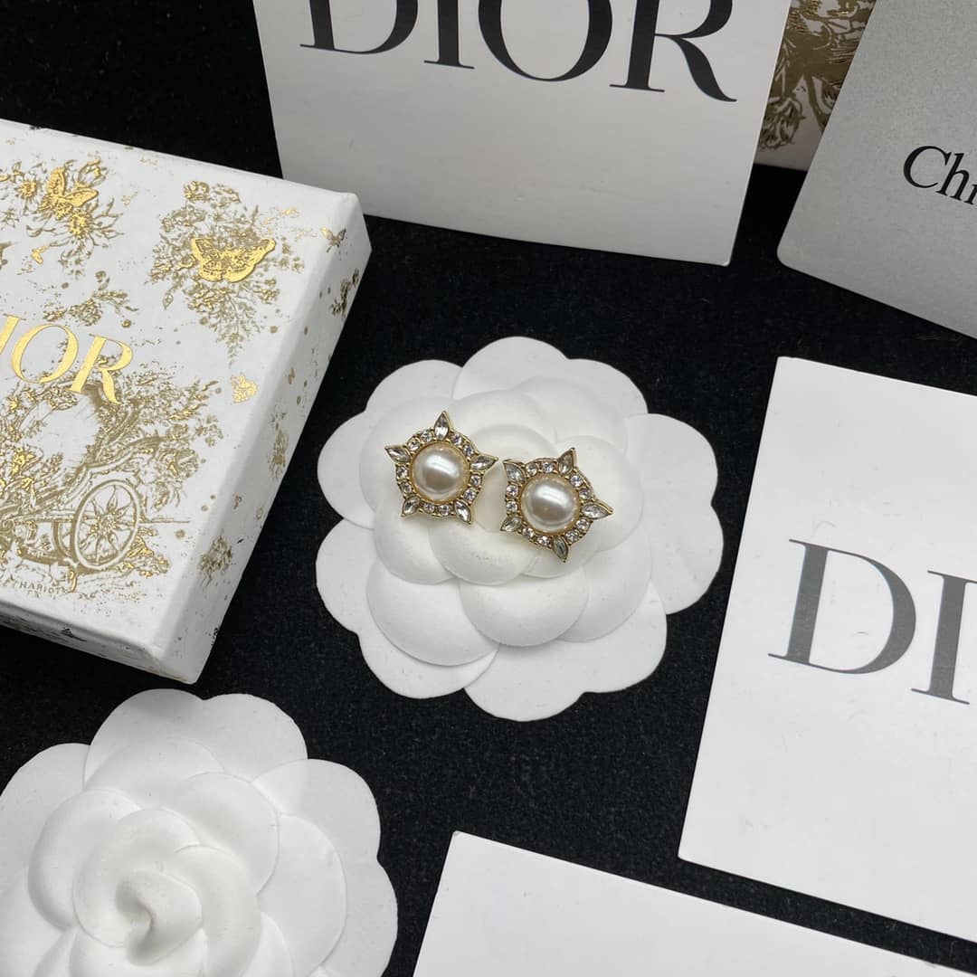 Fake Dior Logo Earrings