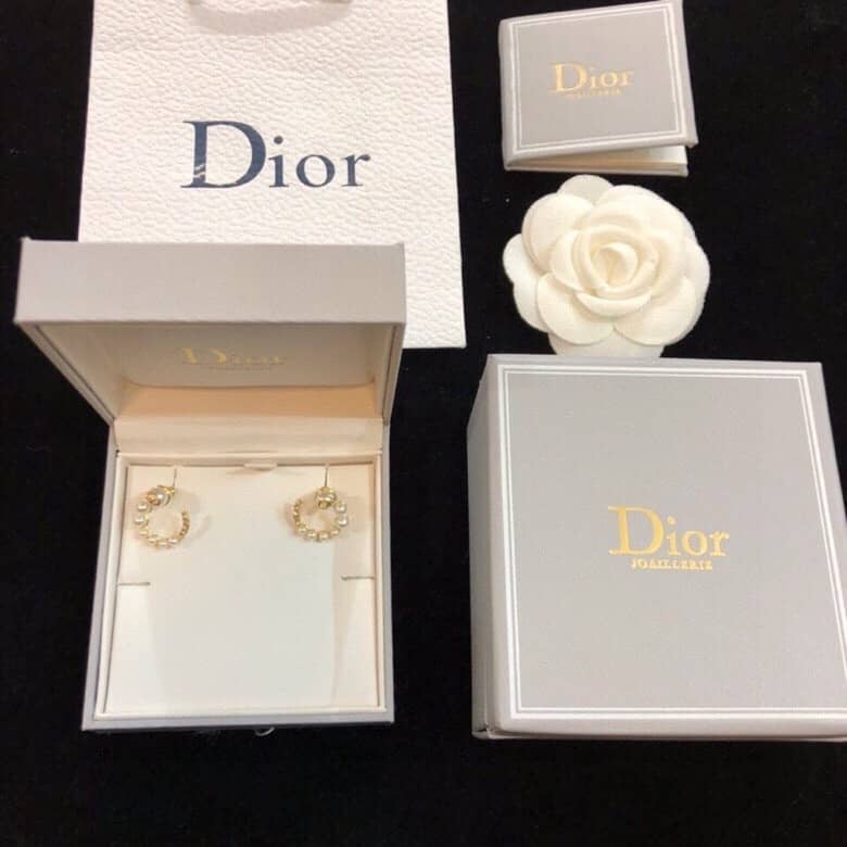 Luxury Dior Classic AAA+ Earrings