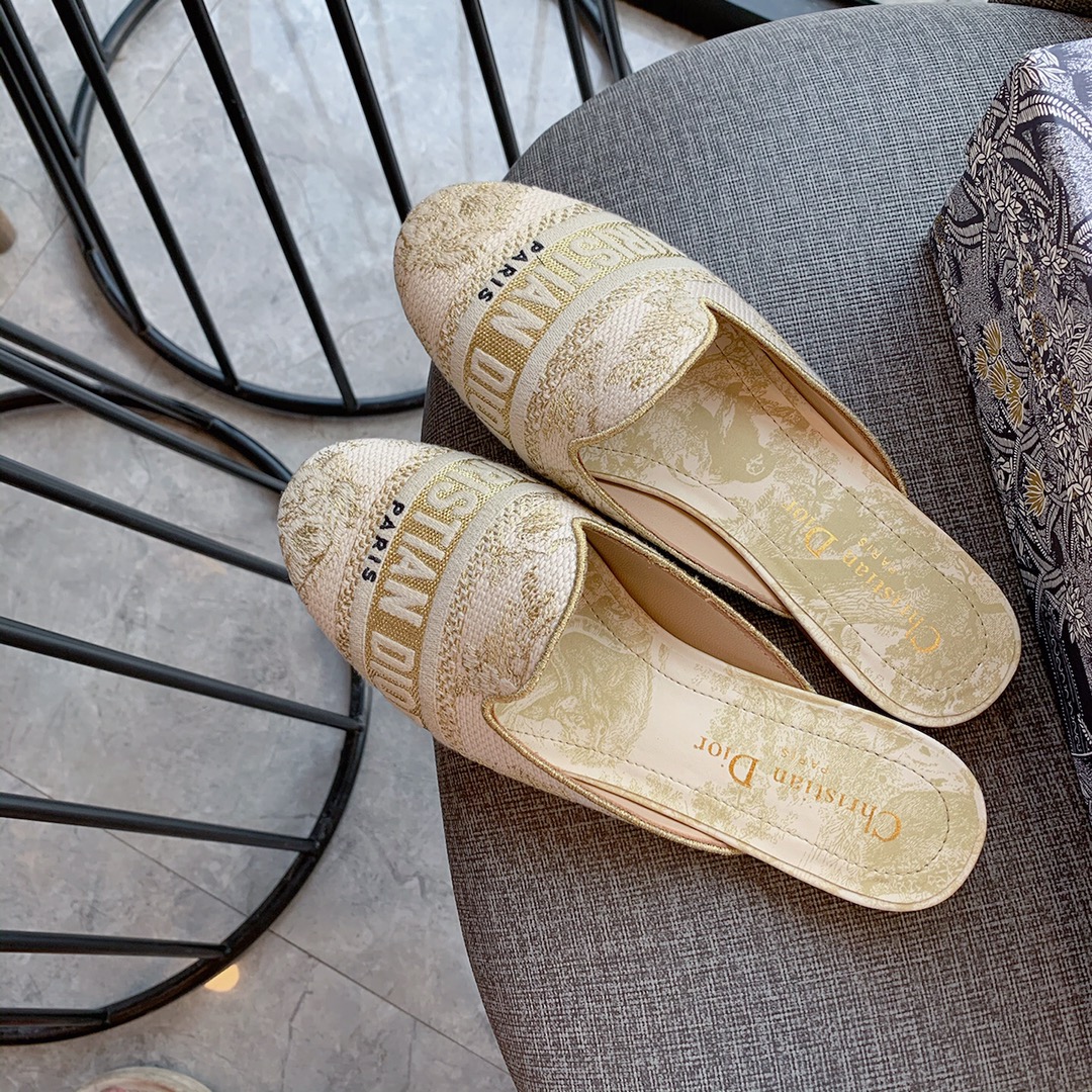 Dior shoes119