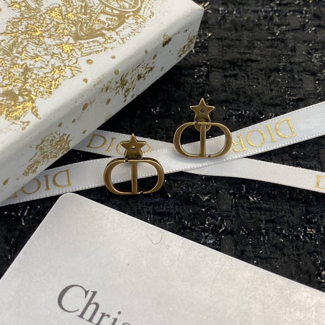 Fake Dior Logo Earrings