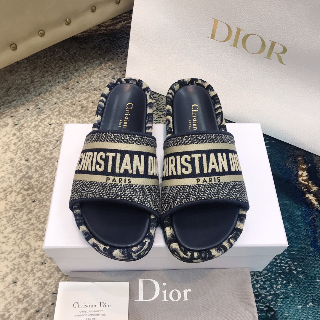 Dior shoes21