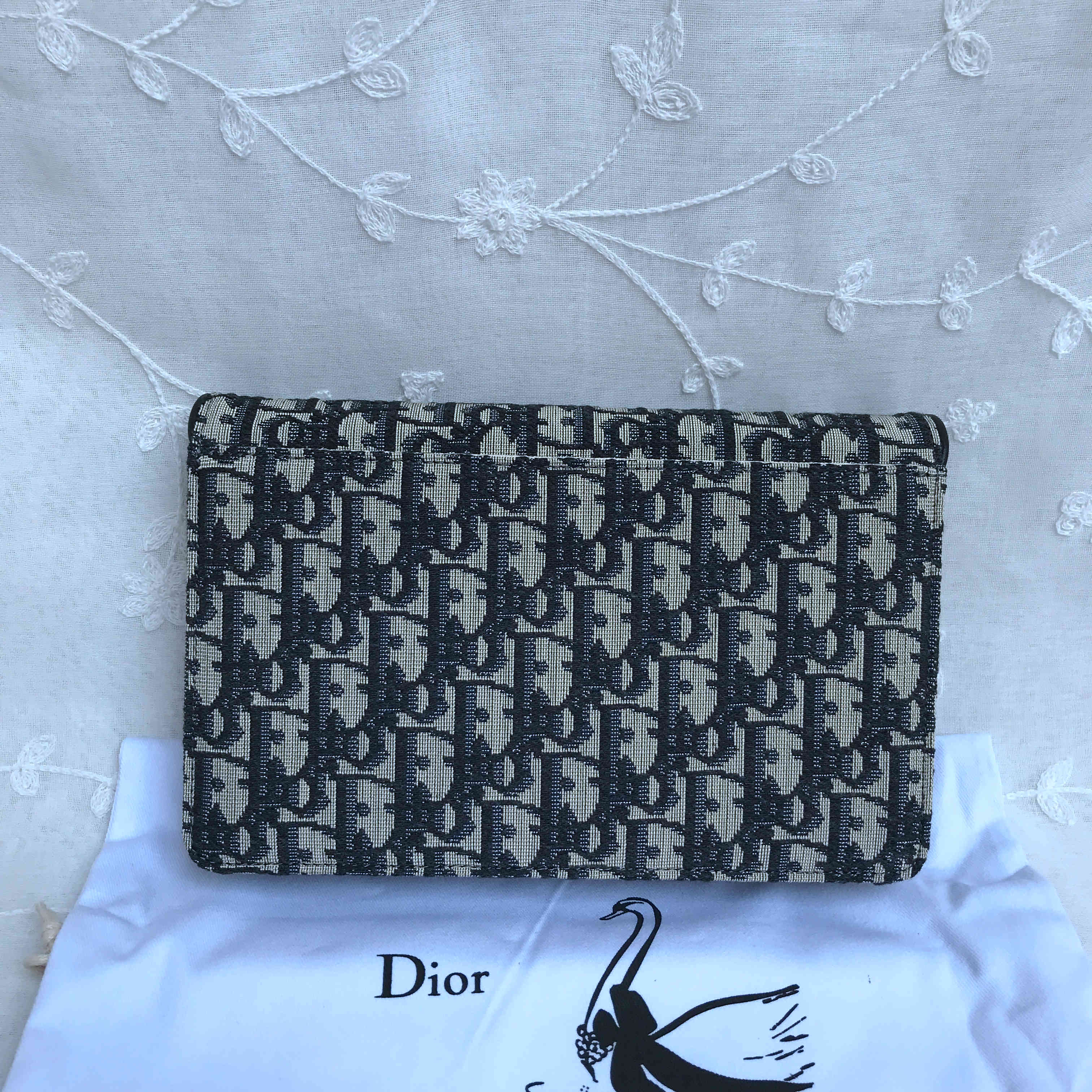 DIOR SADDLE POUCH