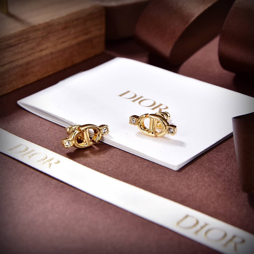 Best Dior Classic Earrings