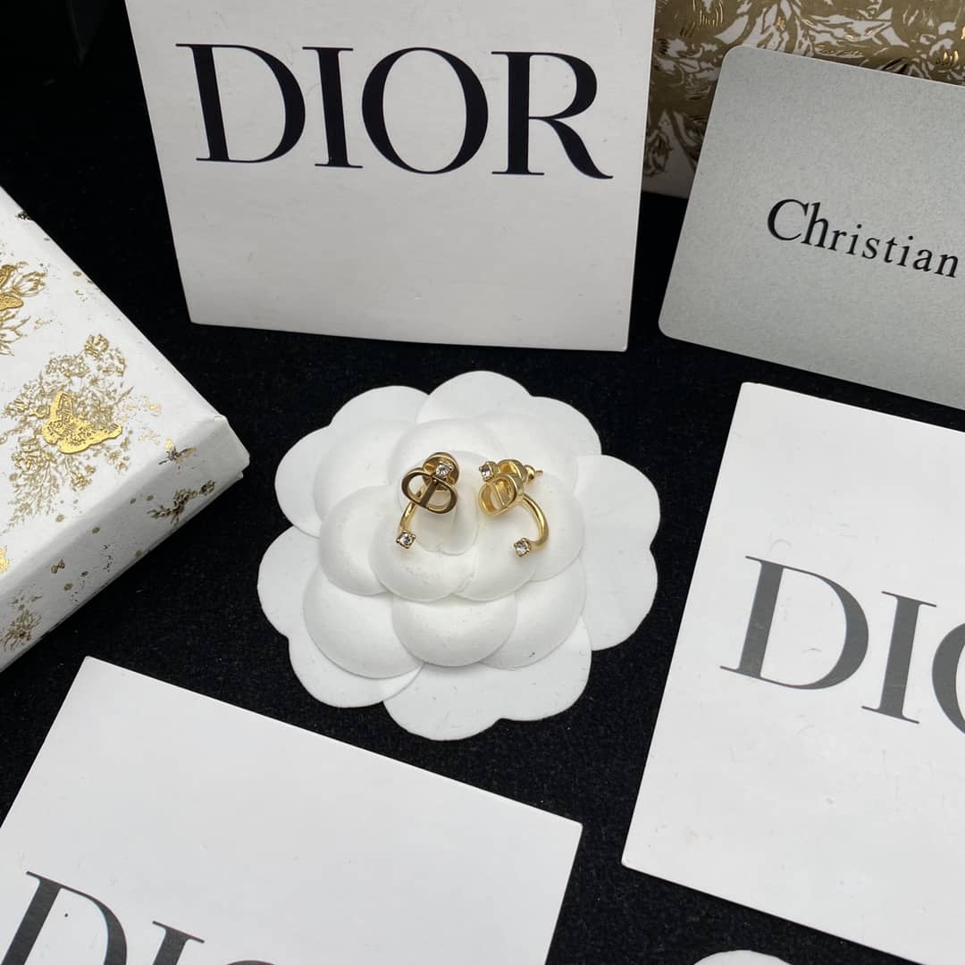 Luxury Dior Classic AAA+ Earrings