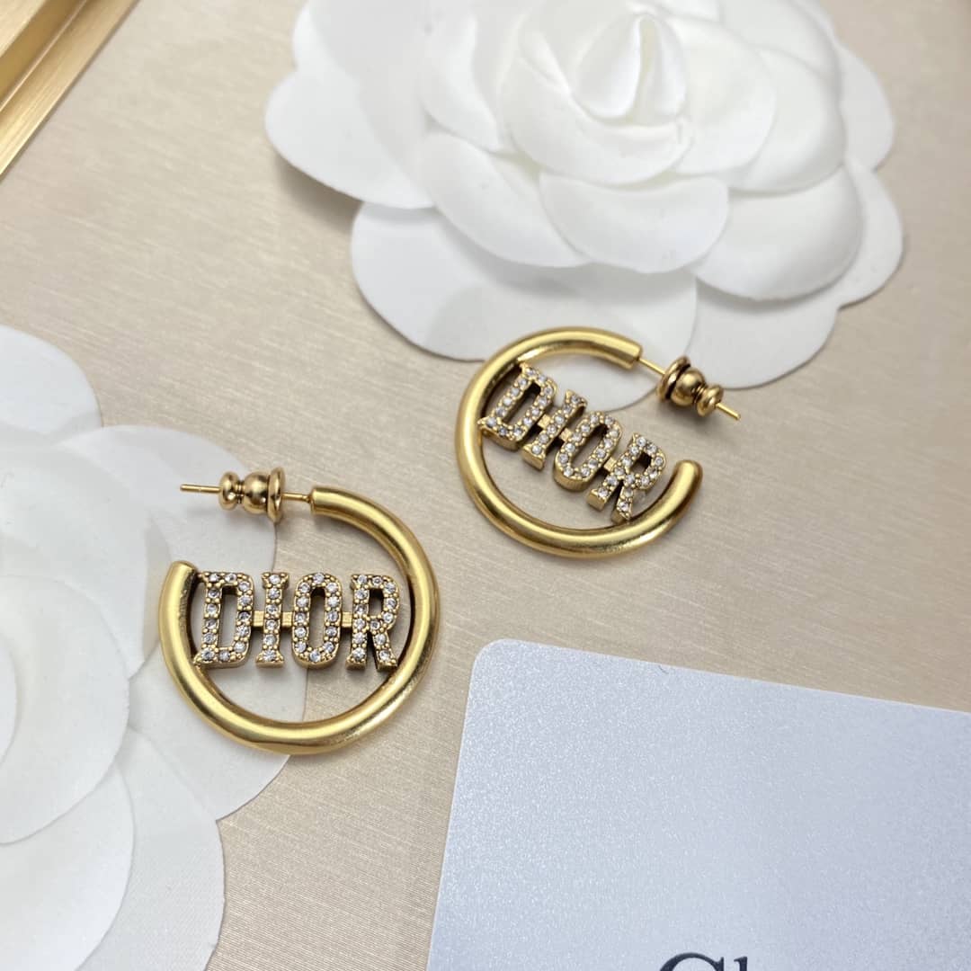 Luxury Dior Classic AAA+ Earrings