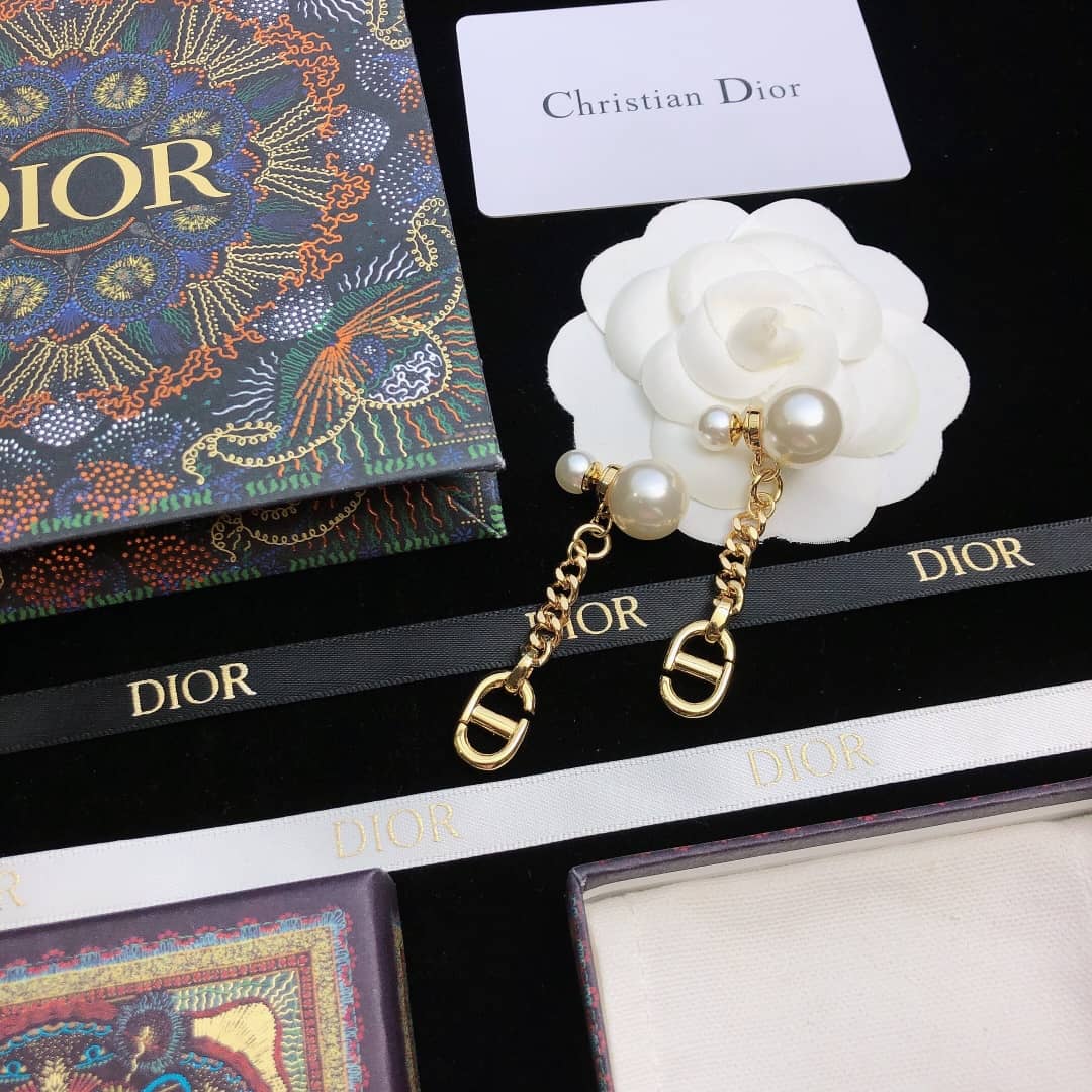 Dior Earrings Copy
