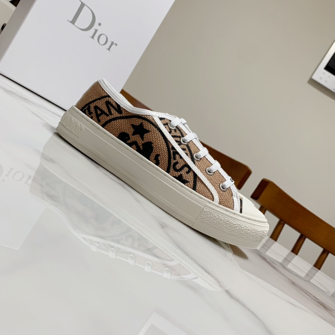 Dior shoes238