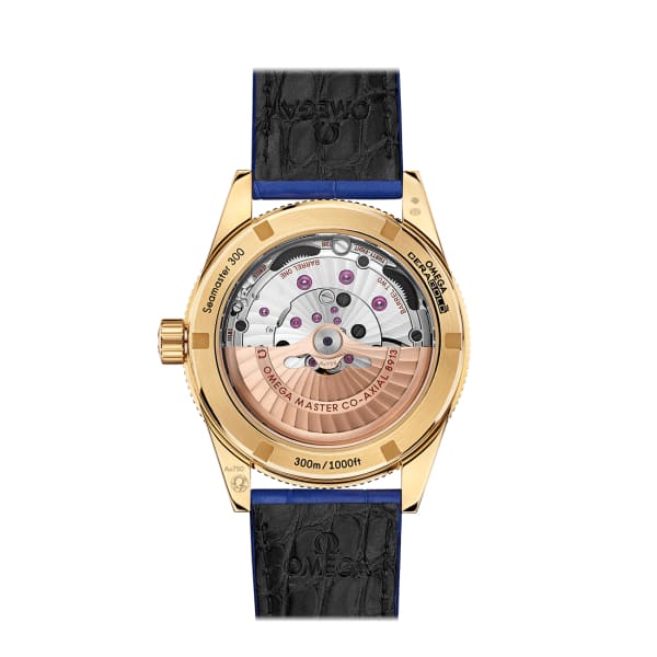 Omega Seamaster Ref. # 234.63.41.21.99.002