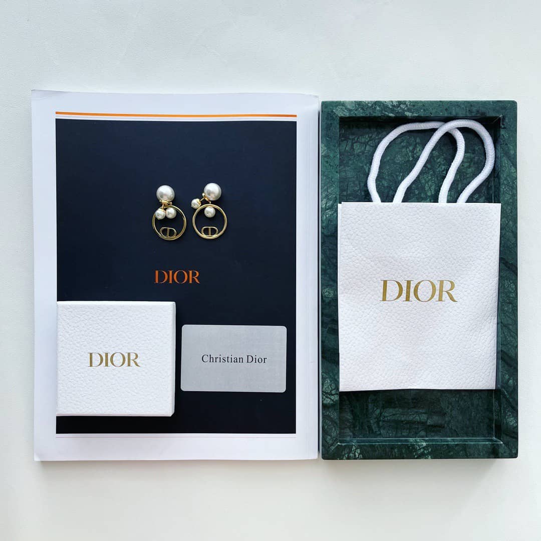 Fake Dior Designer Earrings Wholesale