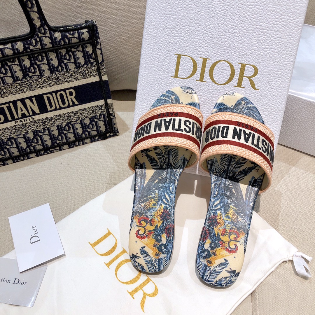 Dior shoes103
