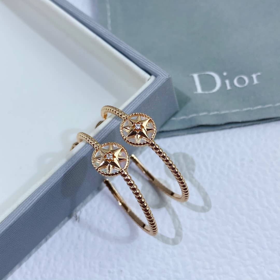Dior Earrings Copy
