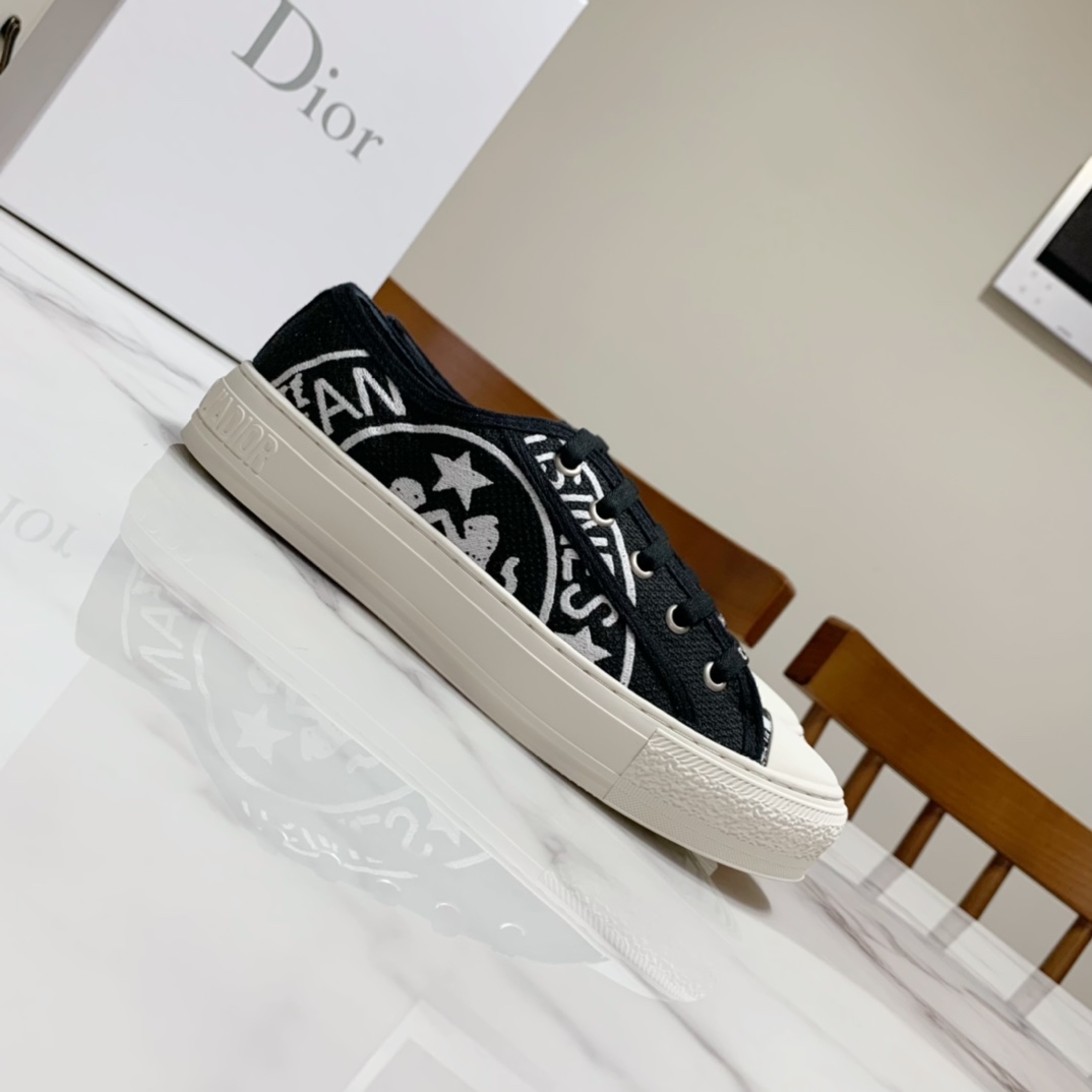 Dior shoes239
