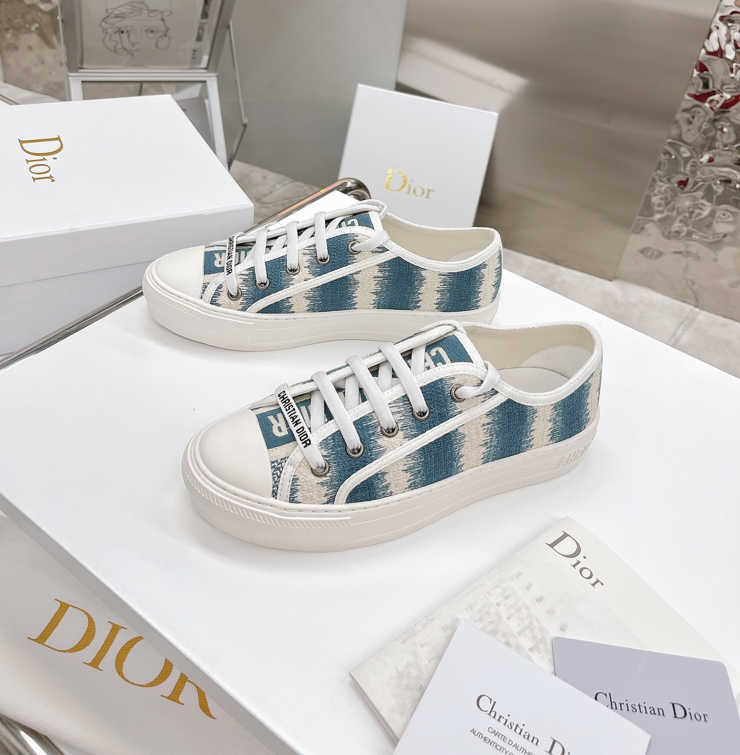 Dior shoes276